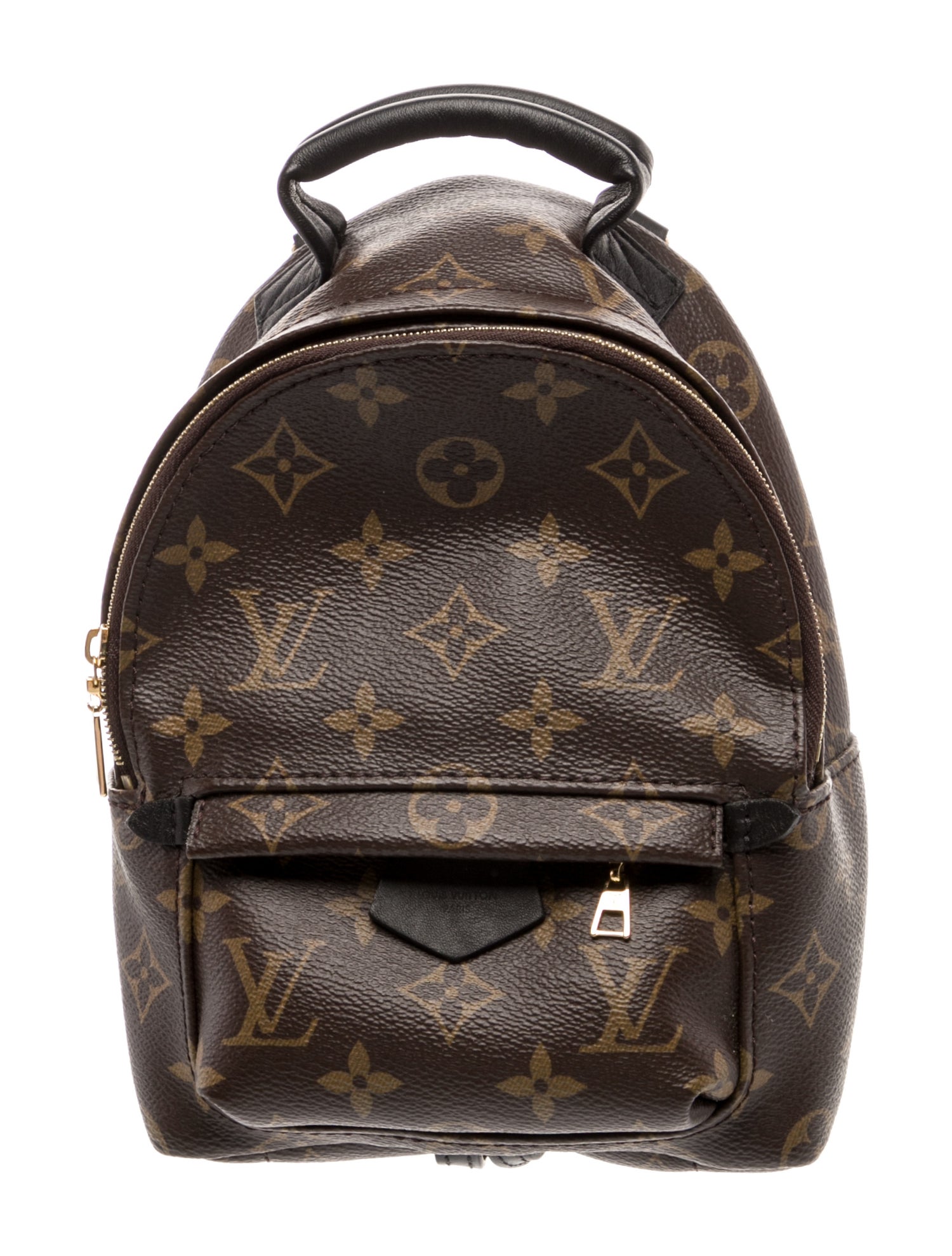 Louis Vuitton LV Monogram Palm Springs Mini