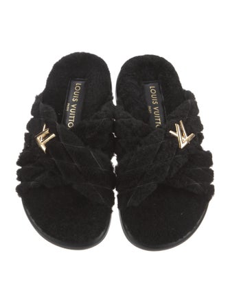 Louis Vuitton 2024 Slides