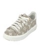 Louis Vuitton Canvas Sneakers