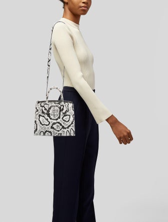 Louis Vuitton Python City Steamer PM