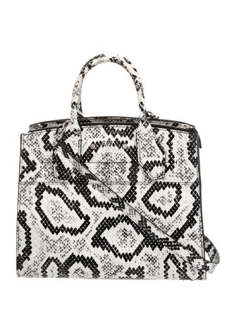 Louis Vuitton Python City Steamer PM