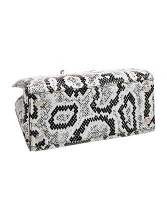 Louis Vuitton Python City Steamer PM