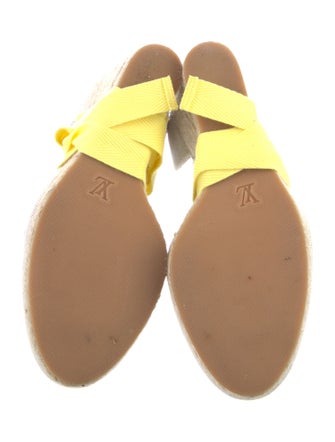 Louis Vuitton 2020 LV Monogram Espadrilles