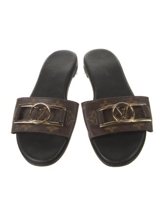 Louis Vuitton Printed Slides
