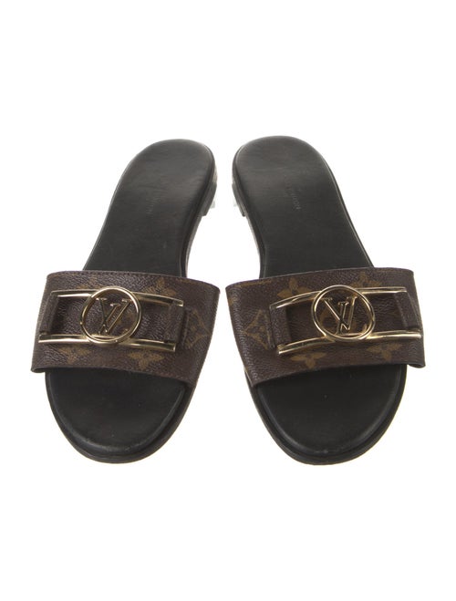 Louis Vuitton Printed Slides