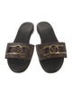 Louis Vuitton Printed Slides