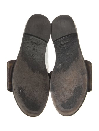 Louis Vuitton Printed Slides