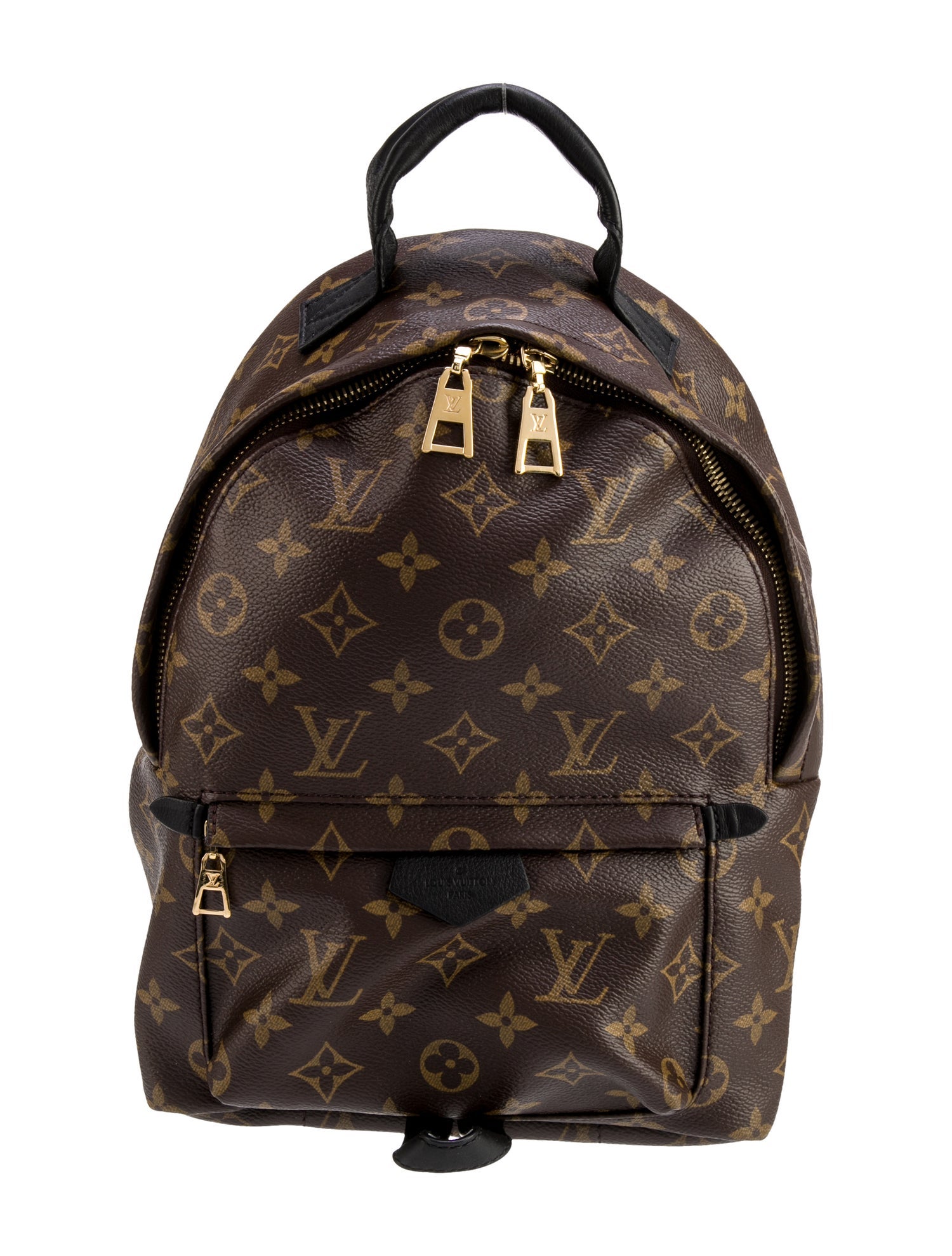 Louis Vuitton LV Monogram Palm Springs PM