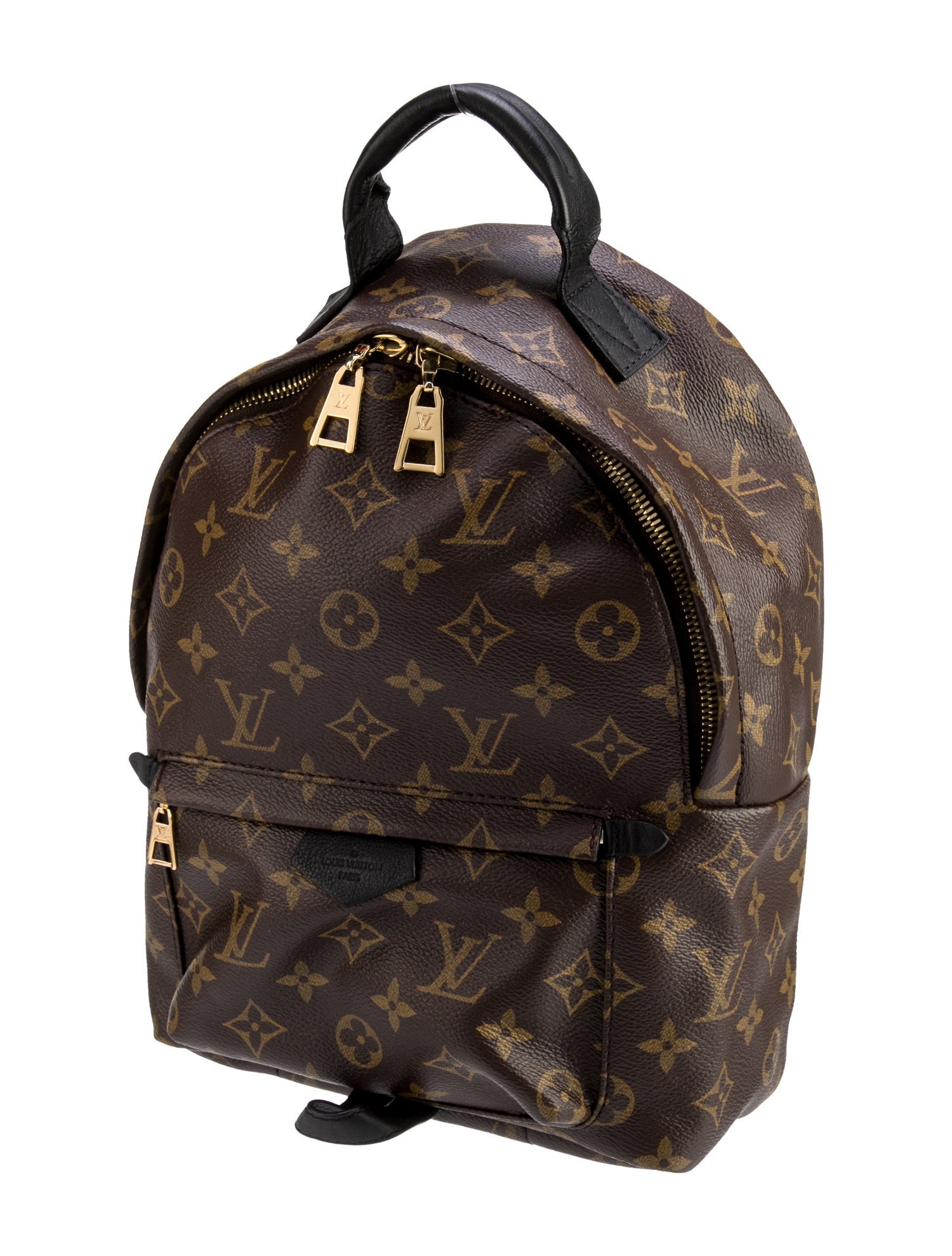 Louis Vuitton LV Monogram Palm Springs PM