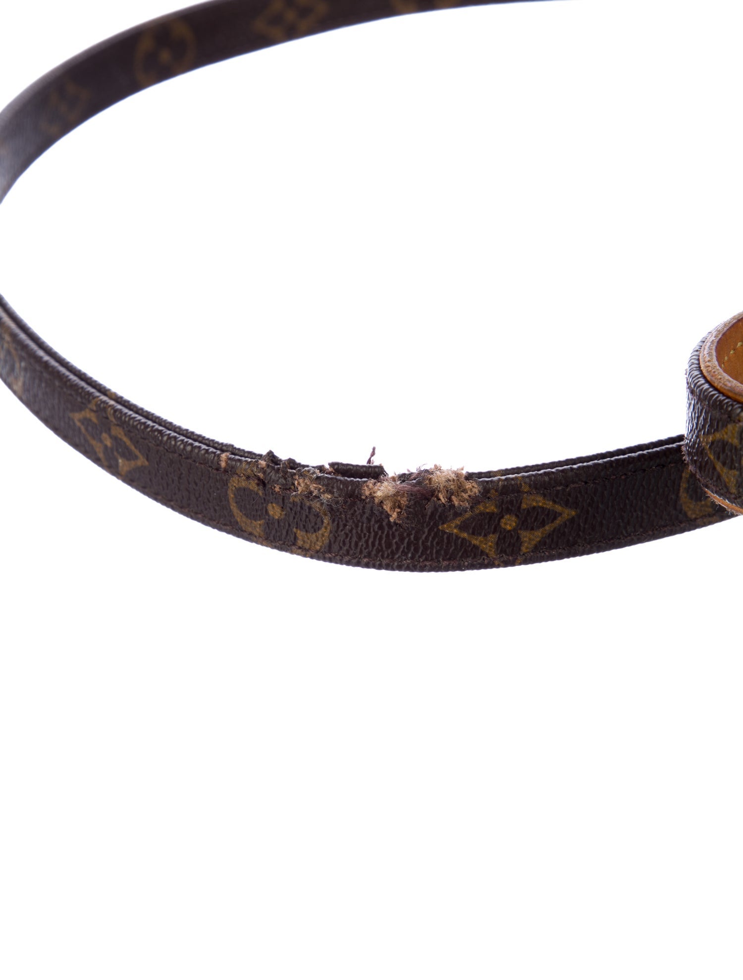 Louis Vuitton Monogram Dog Leash