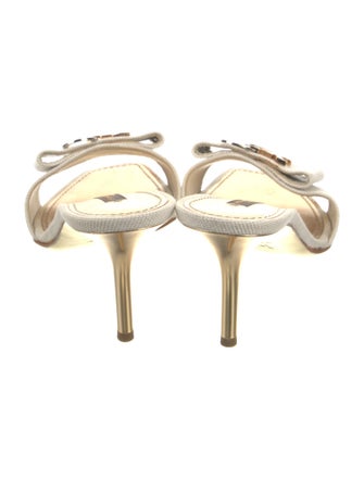 Louis Vuitton Canvas Slides