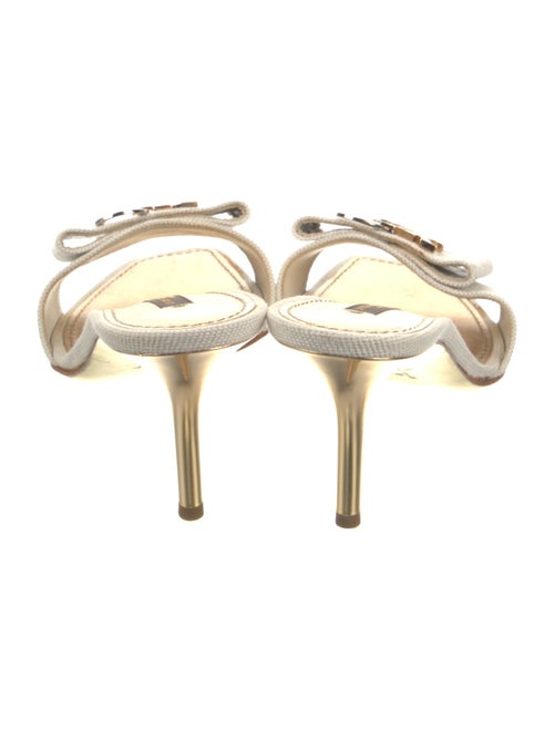 Louis Vuitton Canvas Slides