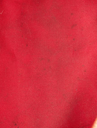 Louis Vuitton Damier Ebene Speedy 30