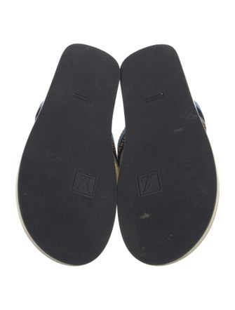 Louis Vuitton Rubber Flip Flops