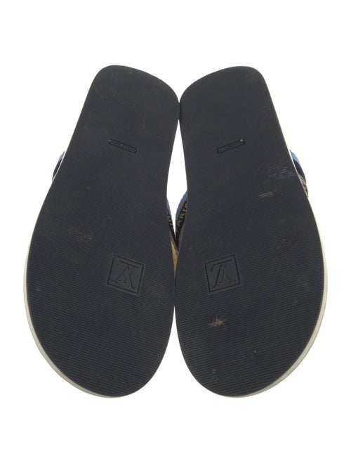 Louis Vuitton Rubber Flip Flops