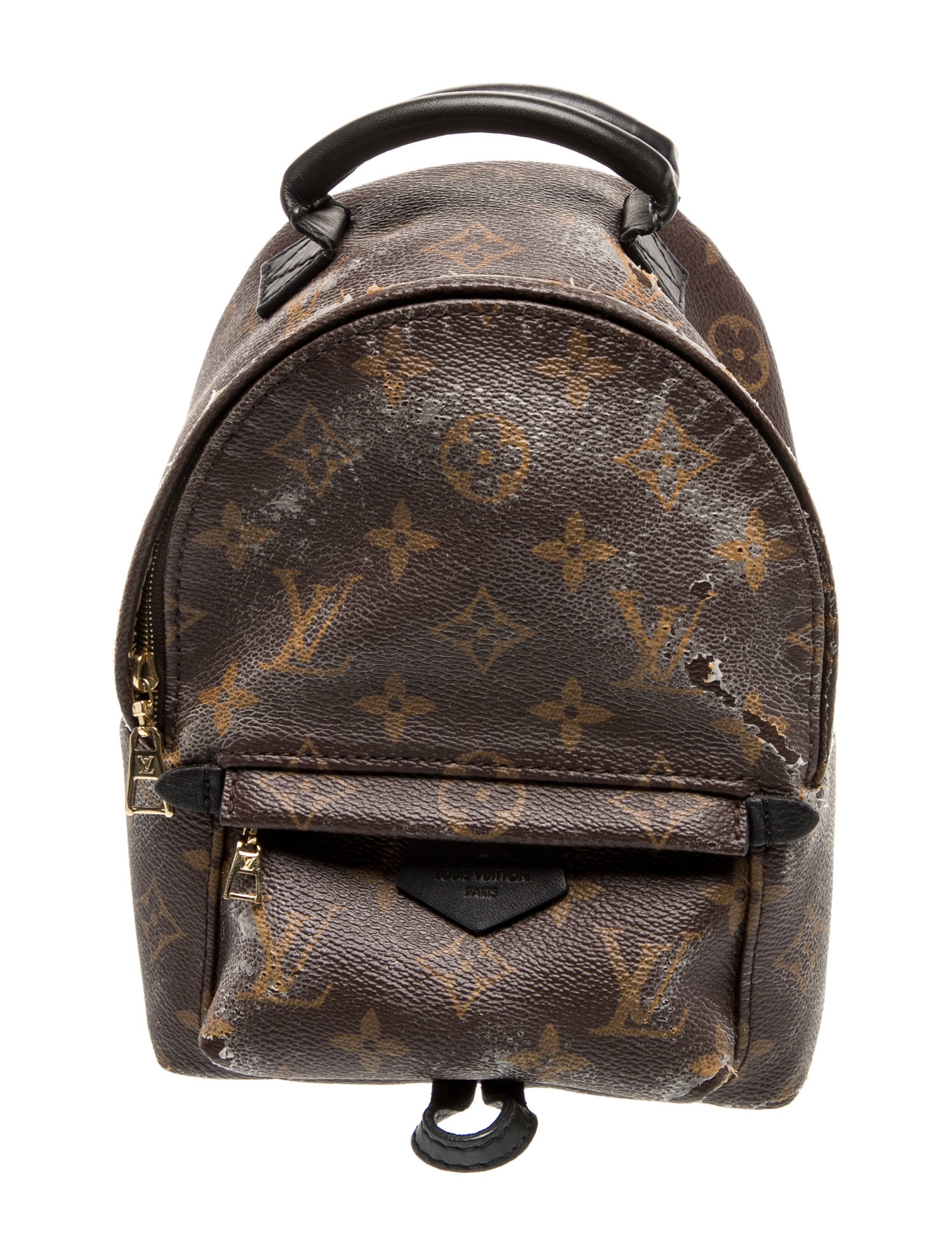 Louis Vuitton LV Monogram Palm Springs Mini