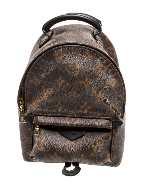 Louis Vuitton LV Monogram Palm Springs Mini