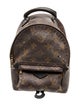 Louis Vuitton LV Monogram Palm Springs Mini