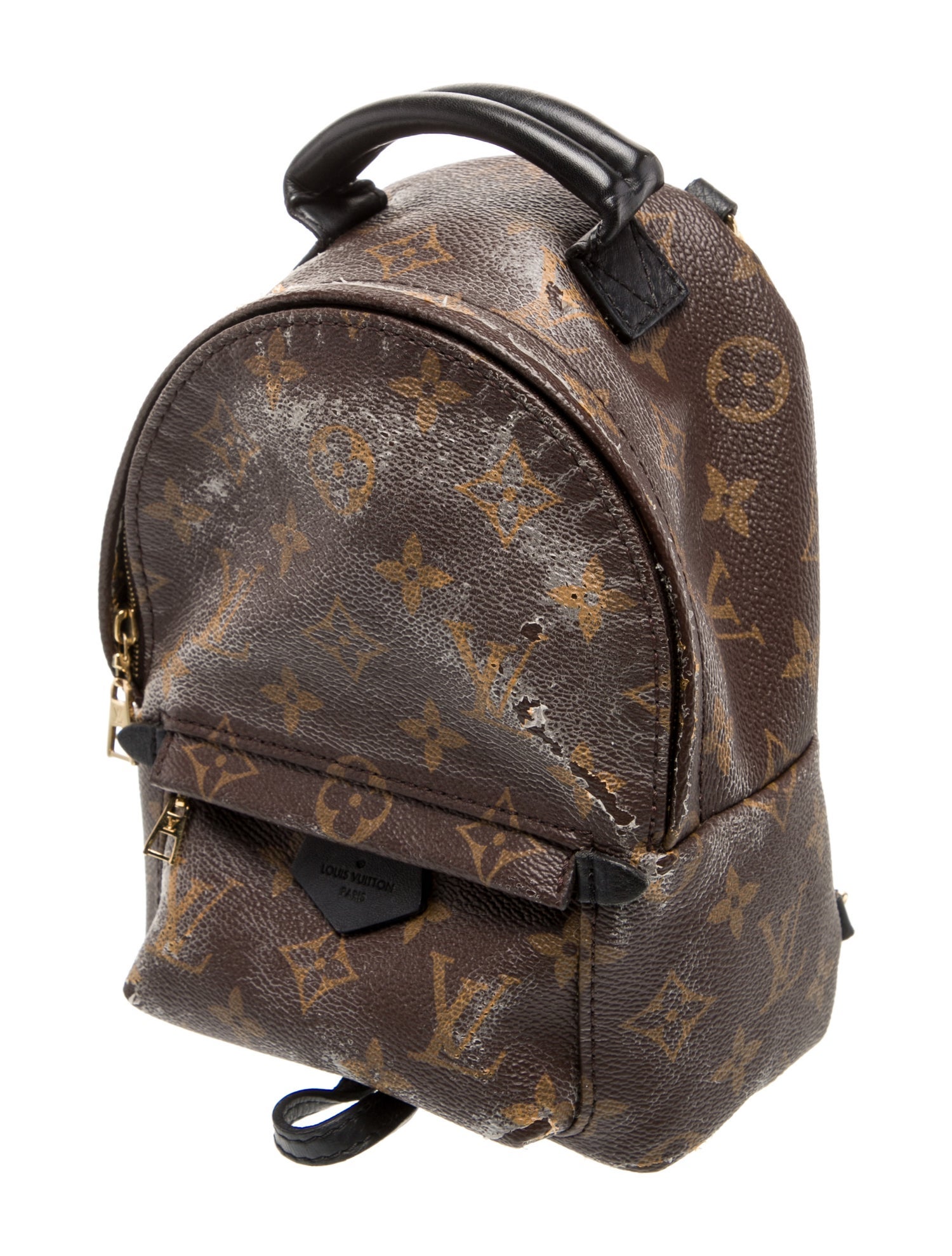 Louis Vuitton LV Monogram Palm Springs Mini