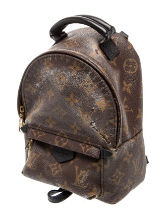 Louis Vuitton LV Monogram Palm Springs Mini