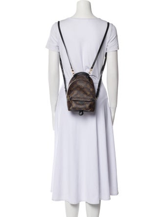 Louis Vuitton LV Monogram Palm Springs Mini