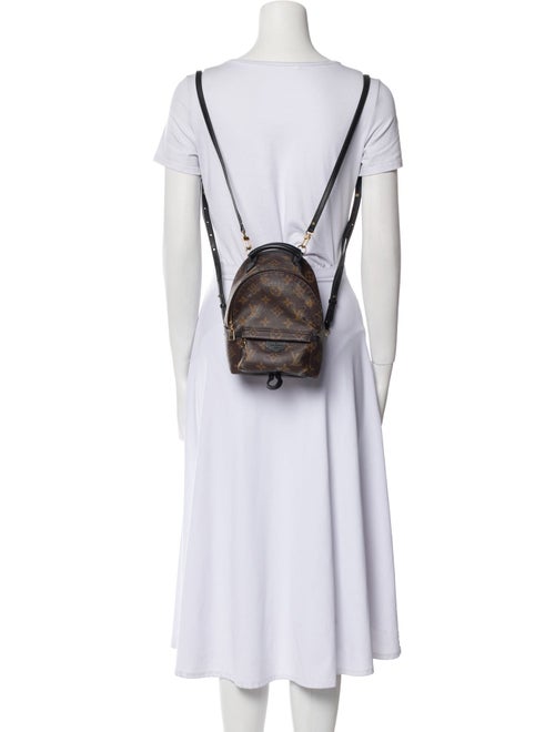 Louis Vuitton LV Monogram Palm Springs Mini