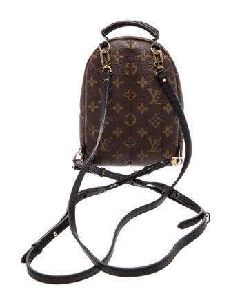 Louis Vuitton LV Monogram Palm Springs Mini
