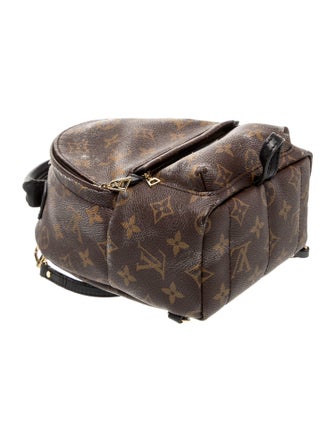 Louis Vuitton LV Monogram Palm Springs Mini