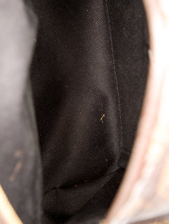 Louis Vuitton LV Monogram Palm Springs Mini