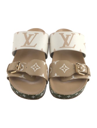 Louis Vuitton Monogram Pattern Slides