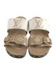 Louis Vuitton Monogram Pattern Slides