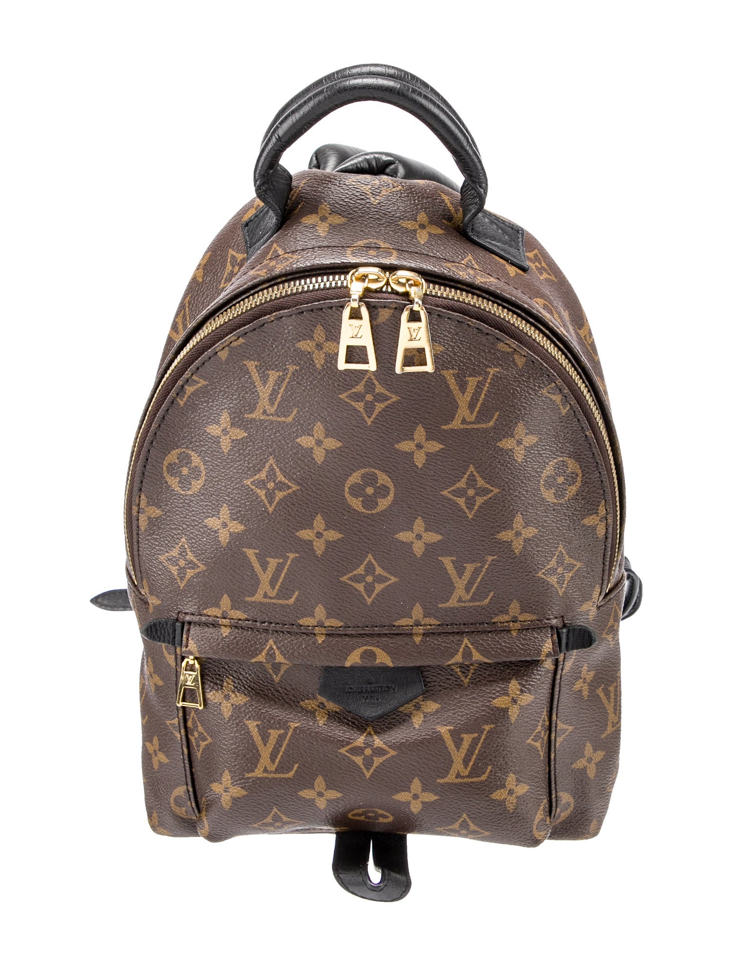 Louis Vuitton LV Monogram Palm Springs PM