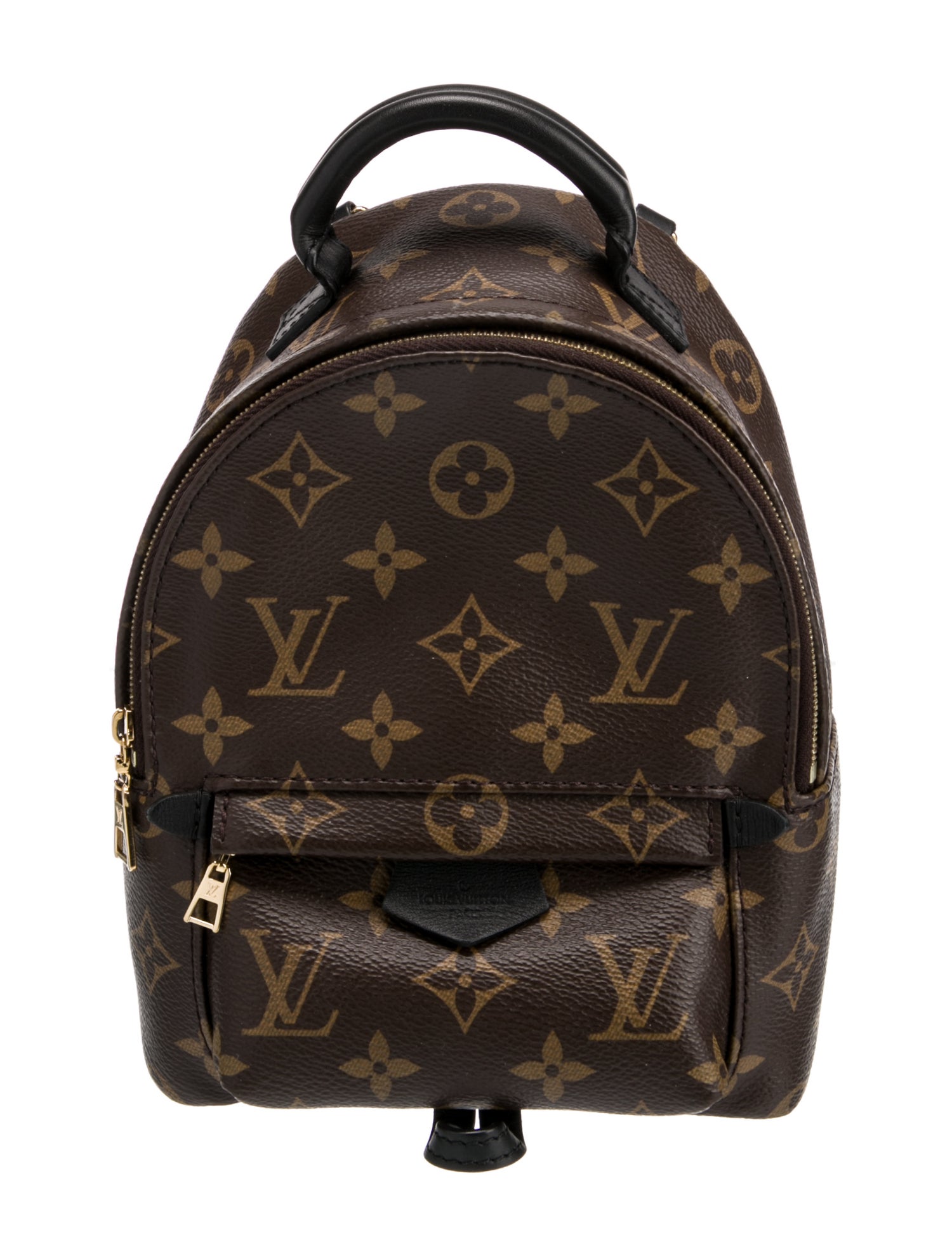 Louis Vuitton LV Monogram Palm Springs Mini
