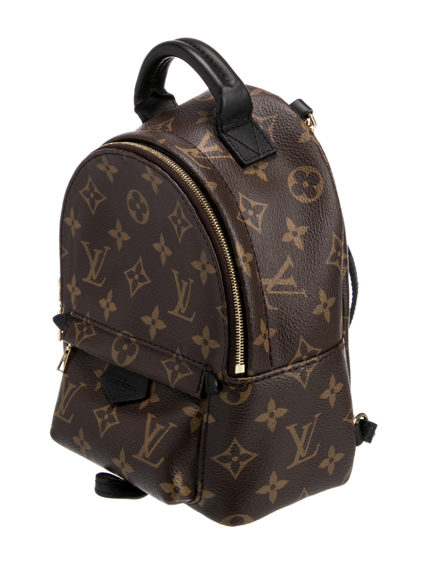 Louis Vuitton LV Monogram Palm Springs Mini