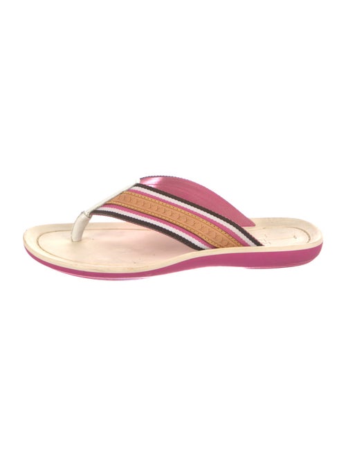 Louis Vuitton LV Monogram Canvas Flip Flops