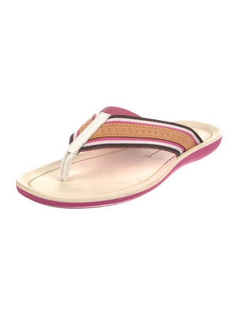 Louis Vuitton LV Monogram Canvas Flip Flops