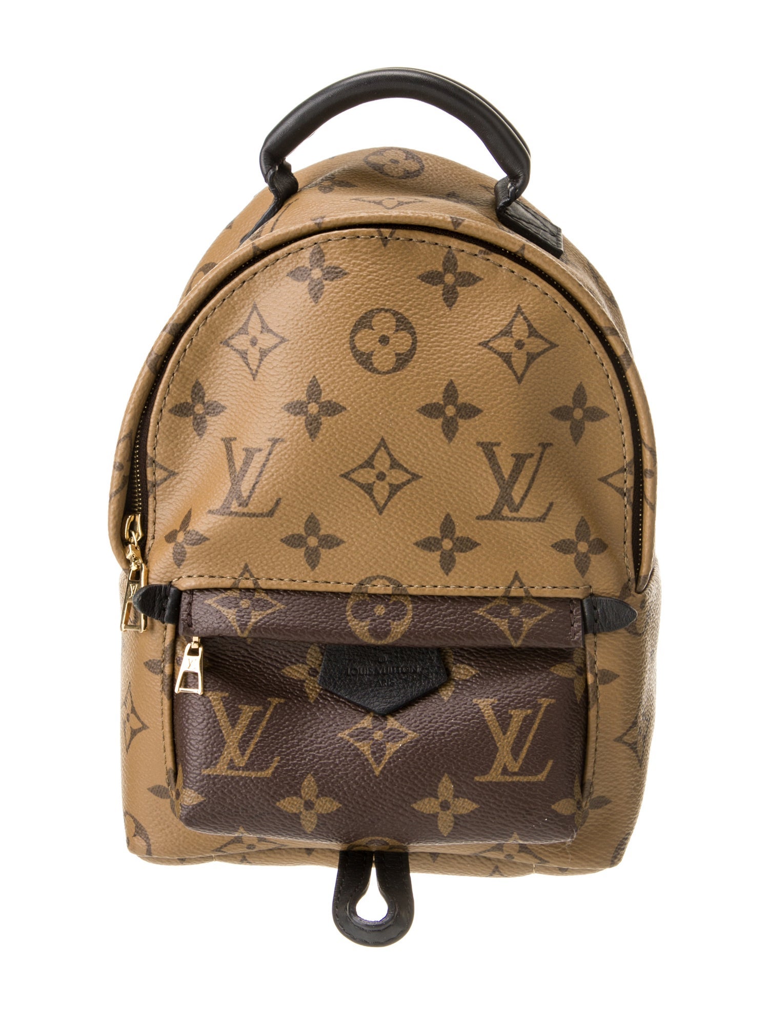 Louis Vuitton LV Monogram Palm Springs Mini