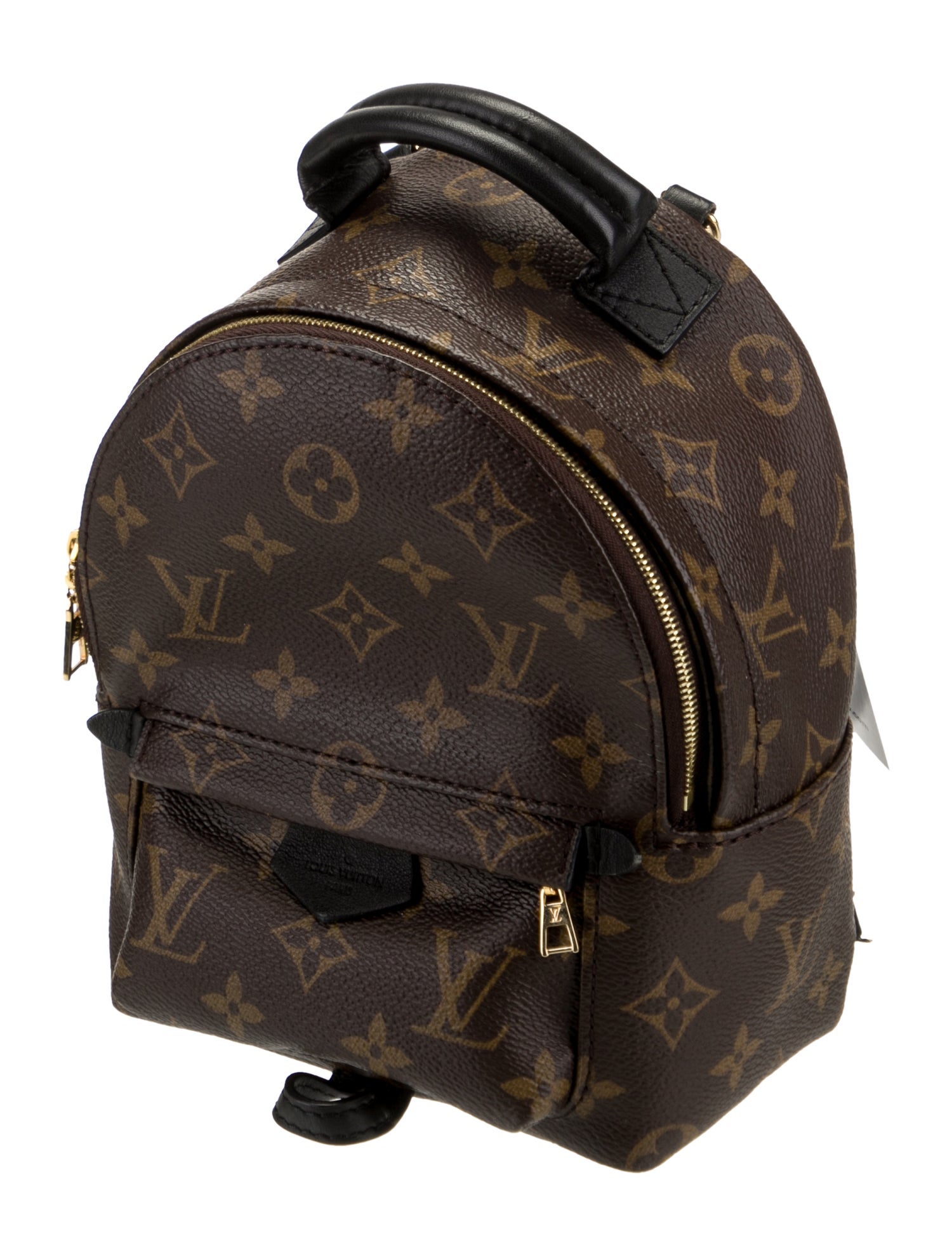 Louis Vuitton LV Monogram Palm Springs Mini
