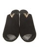 Louis Vuitton Signature Logo Suede Slides