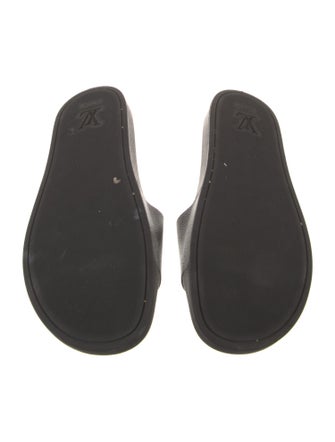 Louis Vuitton LV Monogram Slides