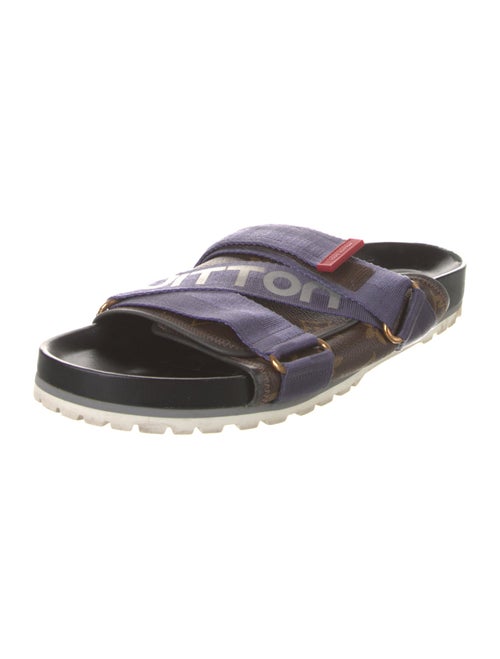 Louis Vuitton Graphic Print Slides