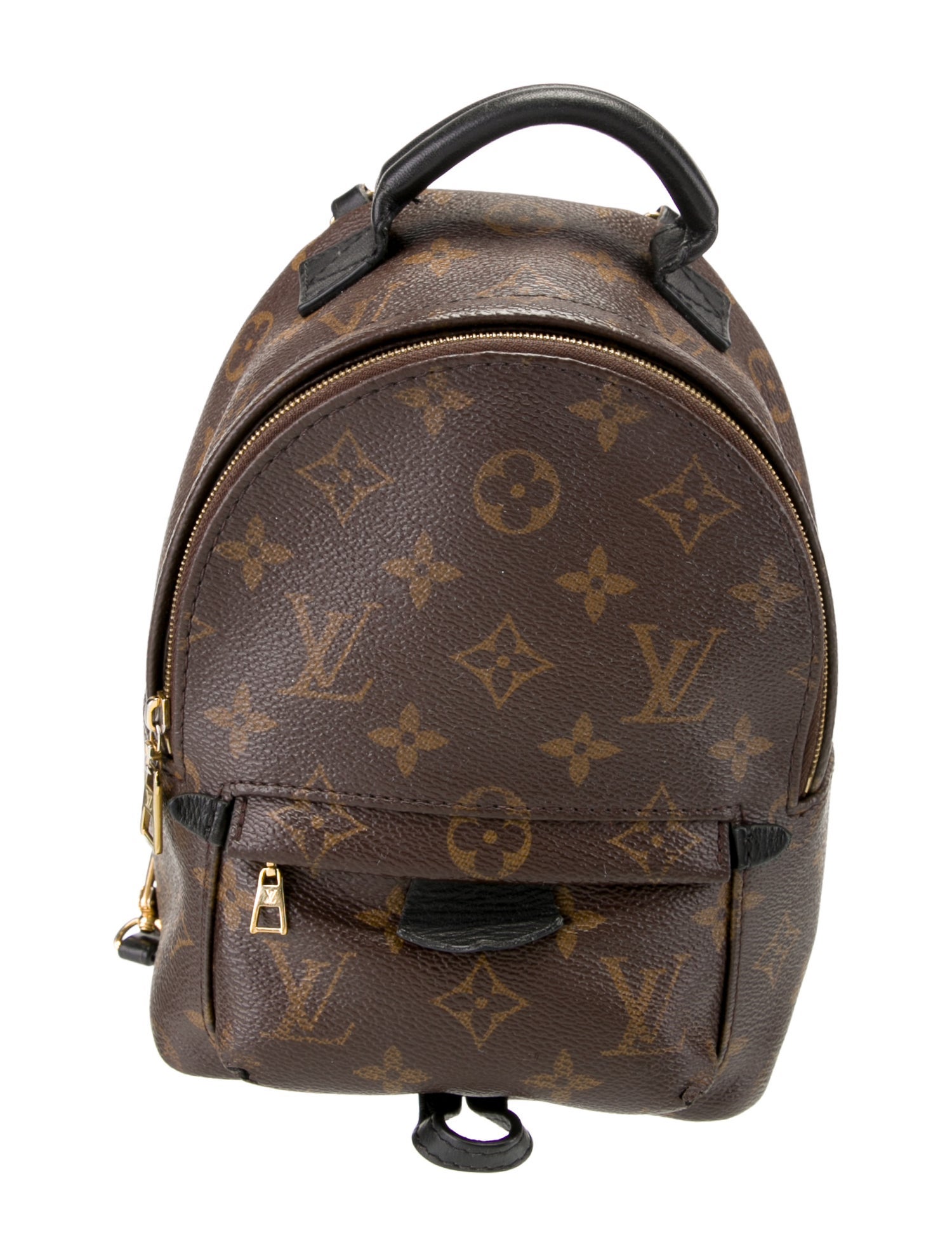 Louis Vuitton LV Monogram Palm Springs Mini