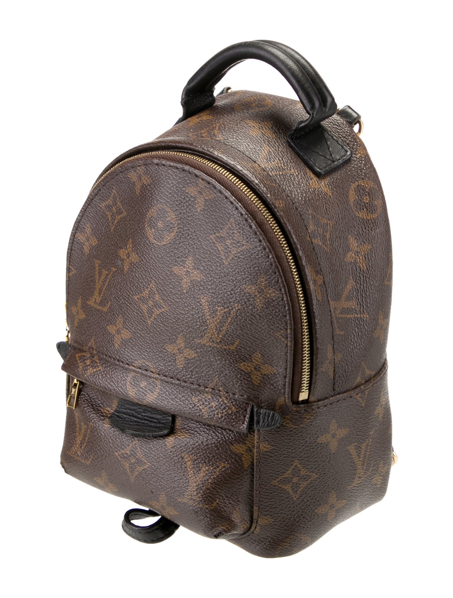 Louis Vuitton LV Monogram Palm Springs Mini