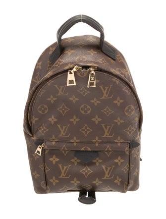 Louis Vuitton Monogram Palm Springs PM