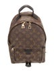 Louis Vuitton Monogram Palm Springs PM