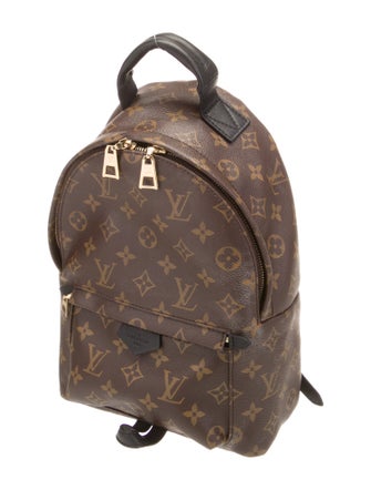 Louis Vuitton Monogram Palm Springs PM