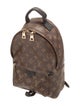 Louis Vuitton Monogram Palm Springs PM