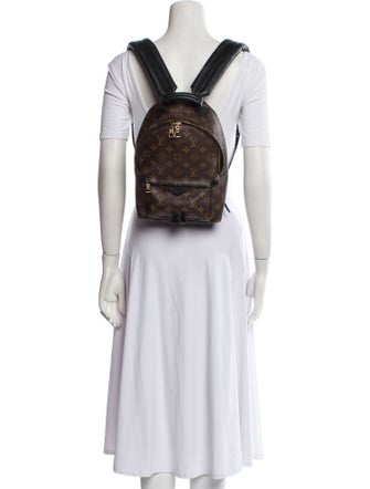 Louis Vuitton Monogram Palm Springs PM