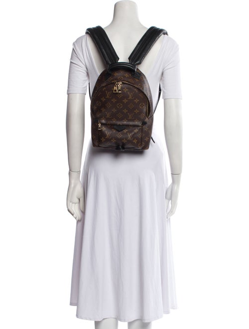 Louis Vuitton Monogram Palm Springs PM