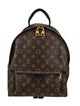 Louis Vuitton LV Monogram Palm Springs MM